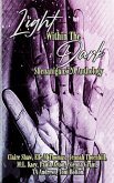 Light Within The Dark Shenanigans'20 Anthology (eBook, ePUB)