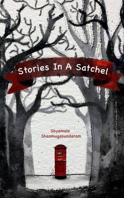 Cover Stories In A Satchel (1, #1) (eBook, ePUB)