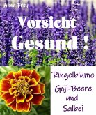 Vorsicht Gesund!! (eBook, ePUB)