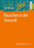 Rauschen in der Sensorik (eBook, PDF)