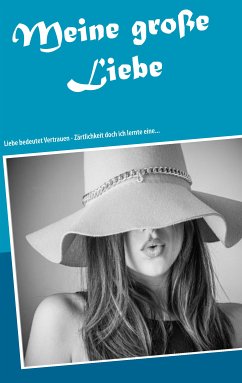 Meine große Liebe (eBook, ePUB)