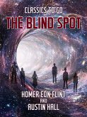 The Blind Spot (eBook, ePUB)