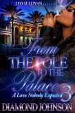 From The Pole to the Palace 3 (eBook, ePUB)