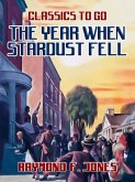 The Year When Stardust Fell (eBook, ePUB)