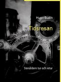 Tidsresan (eBook, ePUB)