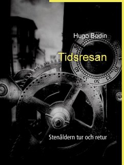 Cover Tidsresan (eBook, ePUB)
