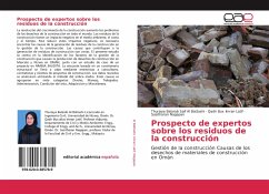 Prospecto de expertos sobre los residuos de la construcción