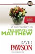 A Commentary on the Gospel of Matthew - Bild 1