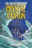 The Heath Cousins and the Crystal Canyon (eBook, ePUB)
