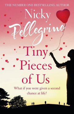 Tiny Pieces of Us (eBook, ePUB) - Pellegrino, Nicky