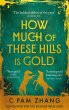 How Much of These Hills is Gold (eBook,... - Bild 1