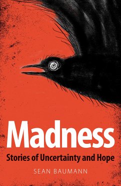 Madness (eBook, ePUB) - Baumann, Sean