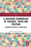 A Southern Criminology of Violence, Youth and Policing (eBook, PDF)