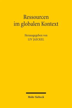 Ressourcen im globalen Kontext (eBook, PDF)