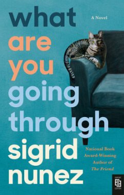 What Are You Going Through - Nunez, Sigrid