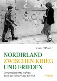 Nordirland zwischen Krieg und Frieden (eBook, ePUB)