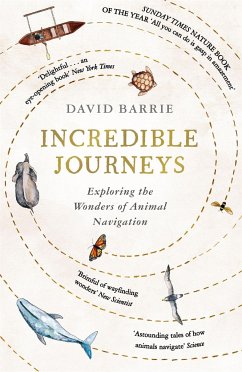 Incredible Journeys - Barrie, David