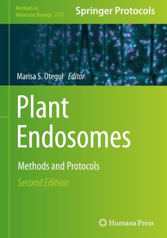 Plant Endosomes