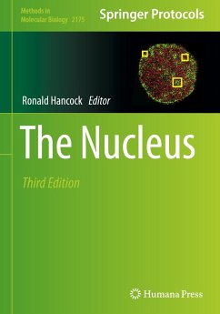 The Nucleus