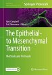 The Epithelial-to Mesenchymal Transition - Bild 1