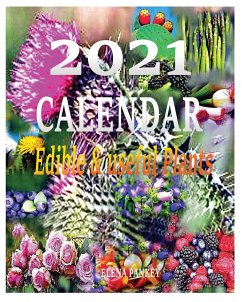 Calendar 2021 - Pankey, Elena; Bulat, Elena