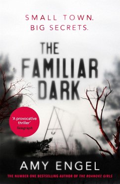 The Familiar Dark - Engel, Amy