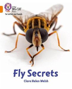 Fly Secrets - Welsh, Clare Helen