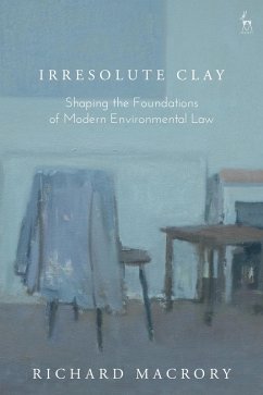 Irresolute Clay (eBook, ePUB) - Macrory Hon Kc, Richard