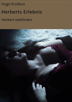 Cover Herberts Erlebnis (eBook, ePUB)