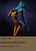 Samuels heiße Nacht (eBook, ePUB)