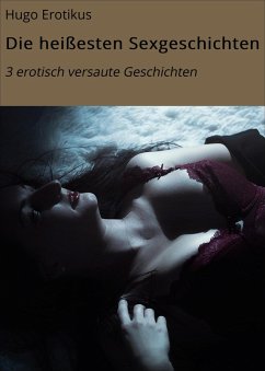 Cover Die heißesten Sexgeschichten (eBook, ePUB)
