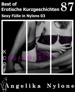 Erotische Kurzgeschichten - Best of 87 (eBook, ePUB) - Nylone, Angelika