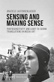 Sensing and Making Sense (eBook, PDF)