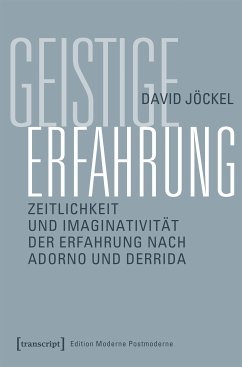 Geistige Erfahrung (eBook, PDF) - Jöckel, David