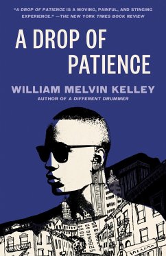 A Drop of Patience (eBook, ePUB) - Kelley, William Melvin