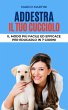 Addestra il tuo cucciolo: Il modo più... - Bild 1