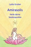 Amirasolis: Heile deine Seelenpunkte (eBook, ePUB)