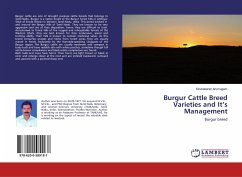 Burgur Cattle Breed Varieties and It¿s Management