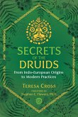 Secrets of the Druids (eBook, ePUB)