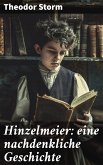 Hinzelmeier: eine nachdenkliche Geschichte (eBook, ePUB)