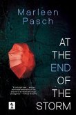 At The End of The Storm (eBook, ePUB)