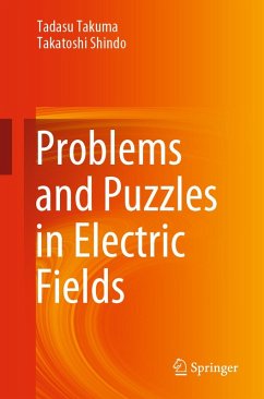 Problems and Puzzles in Electric Fields (eBook, PDF) - Takuma, Tadasu; Shindo, Takatoshi