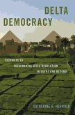 Delta Democracy (eBook, ePUB)