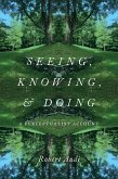 Seeing, Knowing, and Doing (eBook, ePUB)