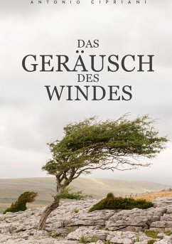 Das Geräusch des Windes (eBook, ePUB)