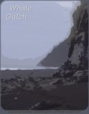 Whale Gulch (eBook, ePUB)