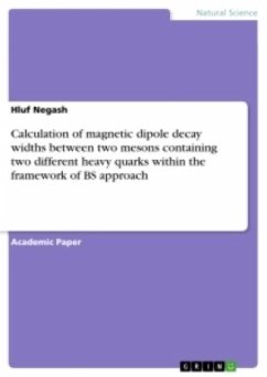 Calculation of magnetic dipole decay widths between two mesons containing two different heavy quarks within the framework of BS approach - Negash, Hluf