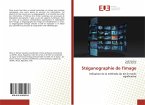 Stéganographie de l'image