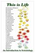 This is Life - Bild 1