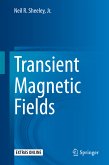 Transient Magnetic Fields (eBook, PDF)